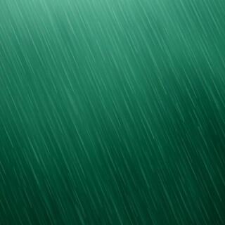 Monsoon leaves with rain drops