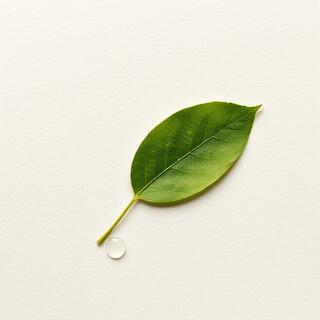 Plant silhouette and lab notes