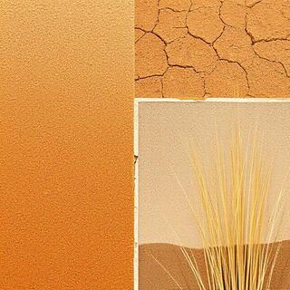 Sunlit dry terrain under a clear sky