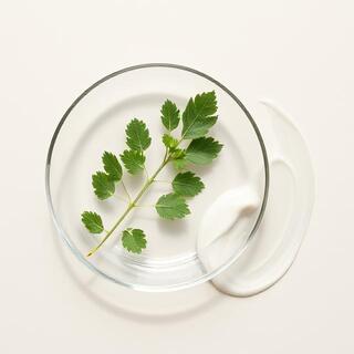 Centella serum with breathable veil cream